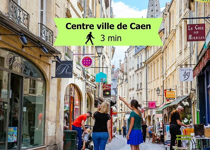 Appartamento L'ecrin Du Château à 2, études, Professionnels à Calme Face Au Château Linge Et Wifi Inclus Caen