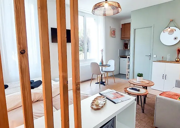 L'ecrin Du Château à 2, études, Professionnels à Calme Face Au Château Linge Et Wifi Inclus Appartamento